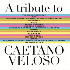 A TRIBUTE TO CAETANO VELOSO title=