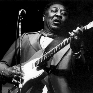 MUDDY WATERS title=