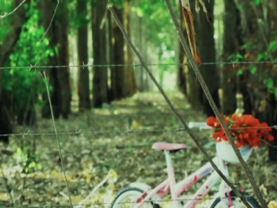 AYAM UBRIS LANA CLIPE DE "BICICLETA" WIDTH=